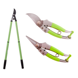 ZIELONA SERIA: sekator...